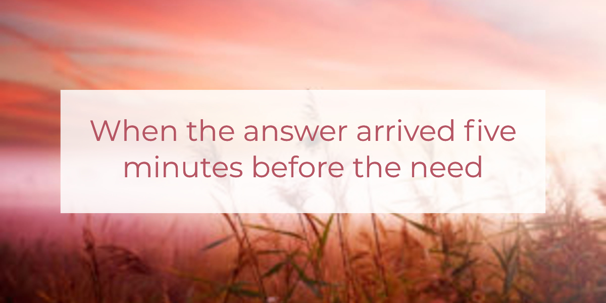 When the answer arrived five minutes before the need | Louise Morris | LouiseMorris.com