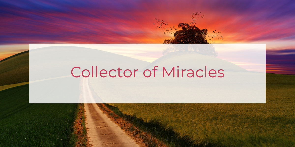 Collector of Miracles | Louise Morris | LouiseMorris.com